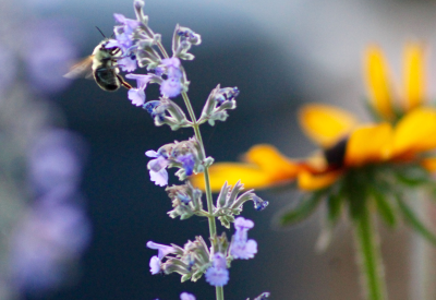 2016-07-11-07.43.32.webp